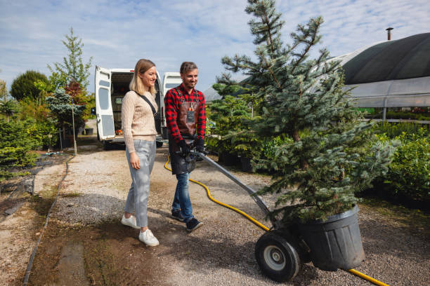 Best Emergency Tree Removal  in USA